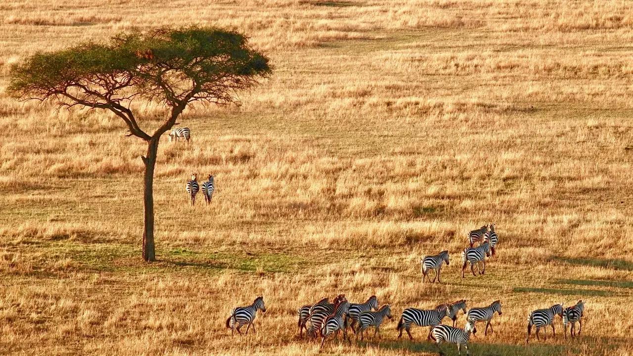 Orijinal və vəhşi Afrikada davamlı səyahət