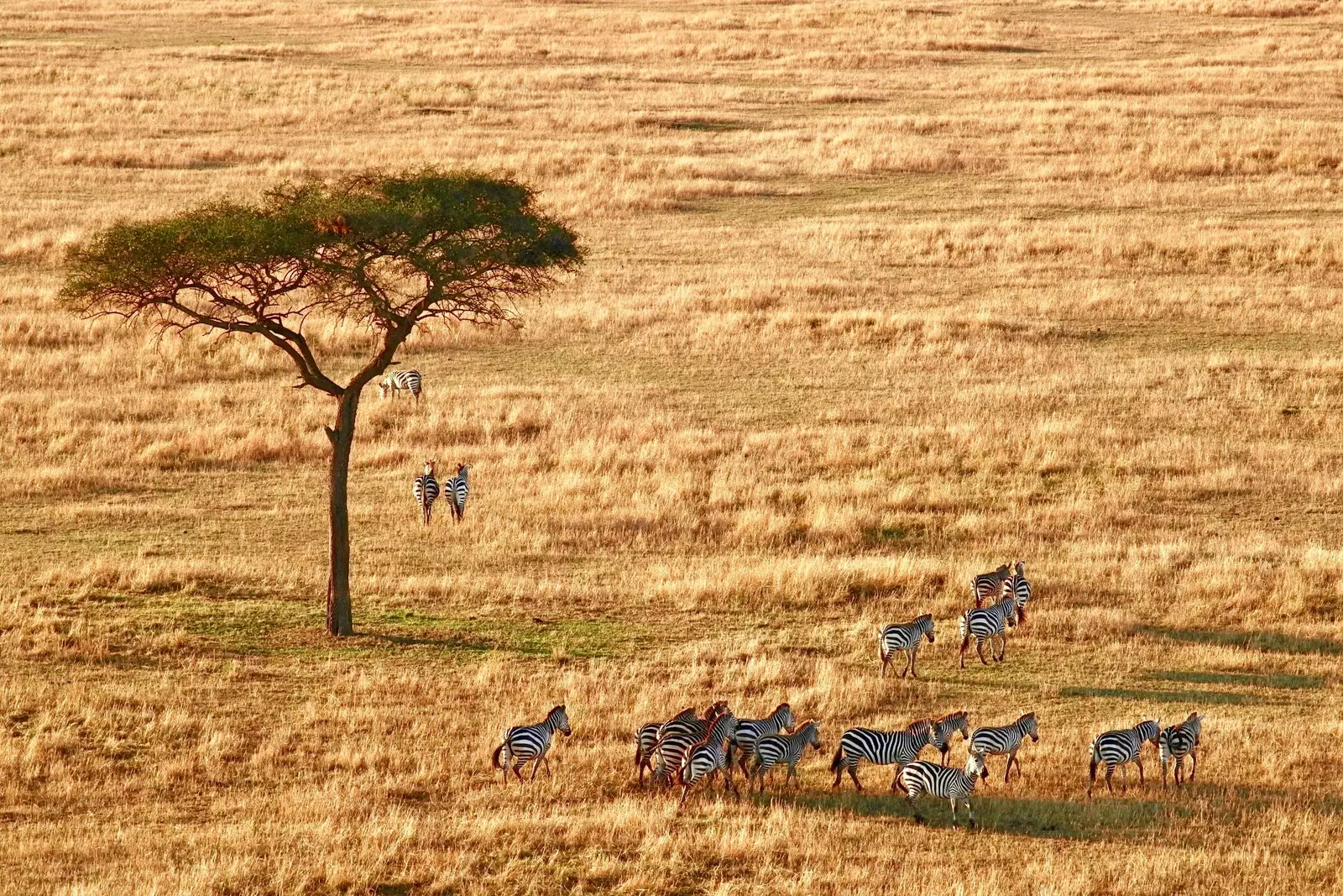 En bæredygtig rejse gennem det autentiske og vilde Afrika