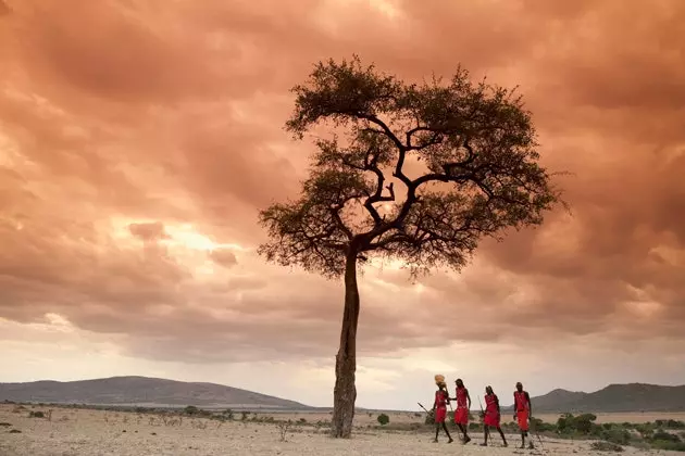 Afrika in 'Ebbenhout'