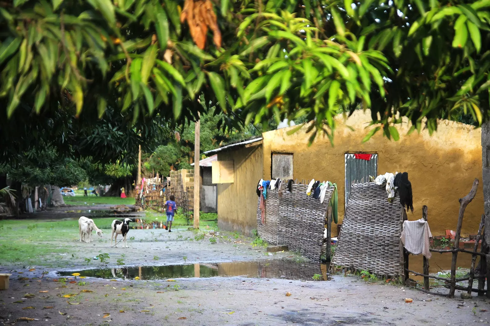 Carabane pulau Senegal di mana waktu berhenti