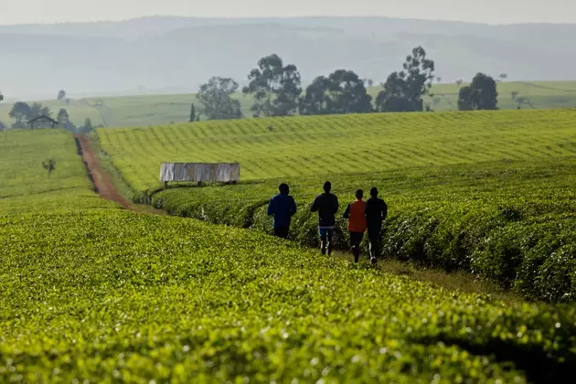 Iten epicentrum atletiky