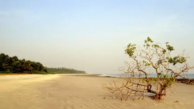 Các nhà hảo tâm muốn tại gia ở Guinea-Bissau