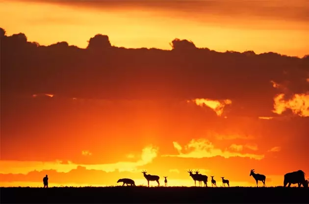 Călătorie muzicală pe un continent fascinant