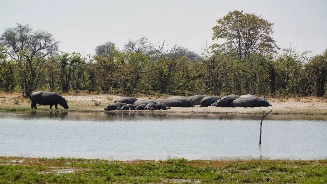 Guide du Botswana avec... Florence Kagiso