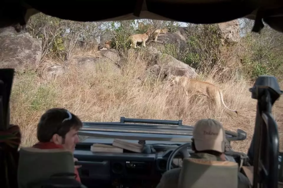 Javier Triana agus úinéir an champa safari Enkewa José Serrano ag caint os comhair grúpa leoin sa...