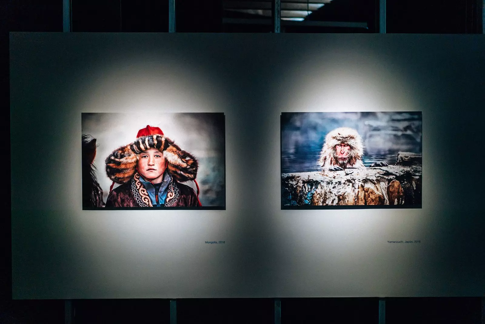 'Steve McCurry. ICONS'