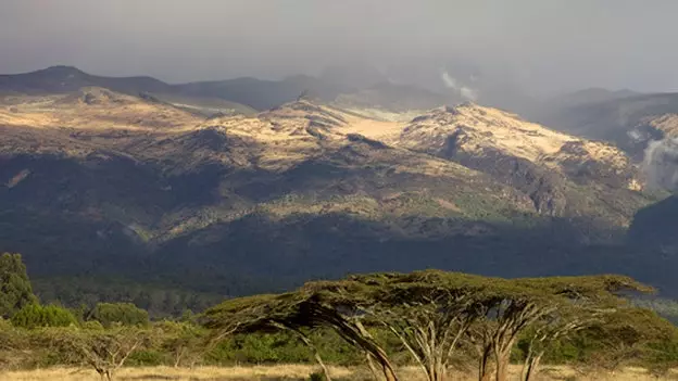 MOOF, l'alberg africà de les deixalles orgàniques