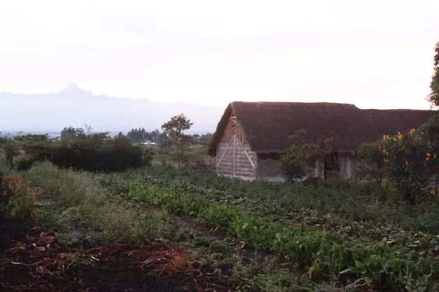 Hostel Kenya