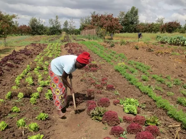 Vandrerhjem Kenya