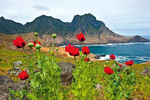 Pemandangan yang bervariasi di Pulau Robinson Crusoe