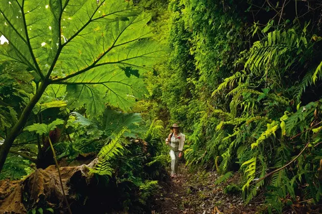 Landschaften und einzigartige Natur auf Robinson Crusoe Island