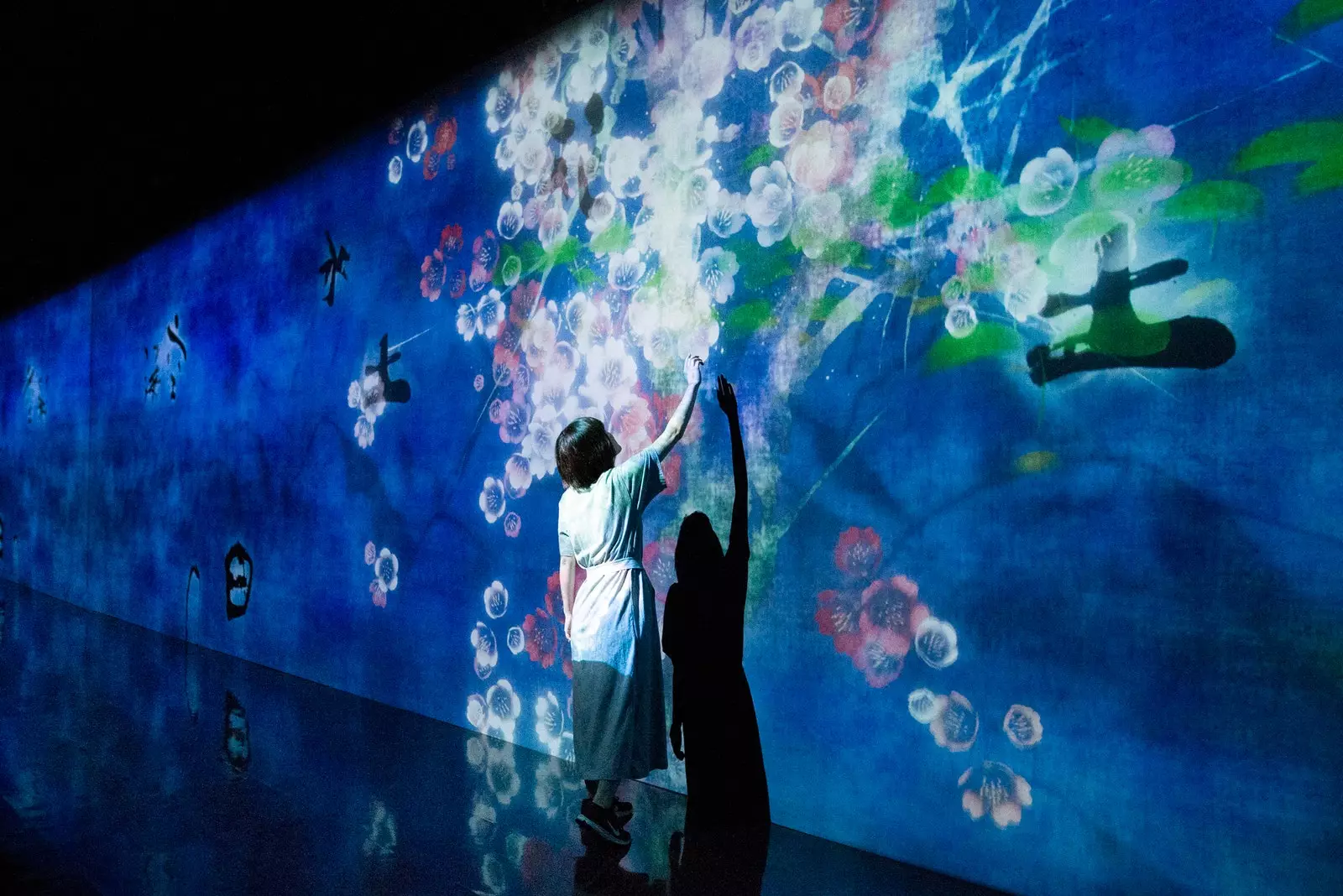 Solo Exhibition teamLab