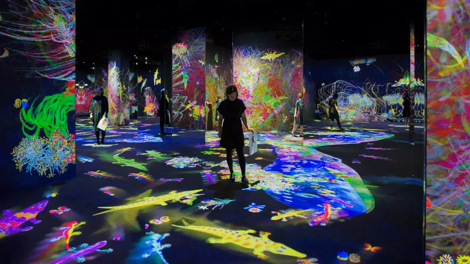 Soloutställning teamLab