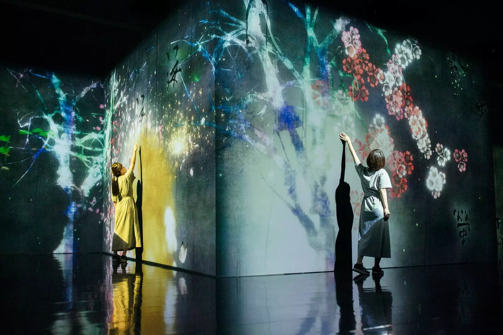 Yksittäisnäyttely teamLab