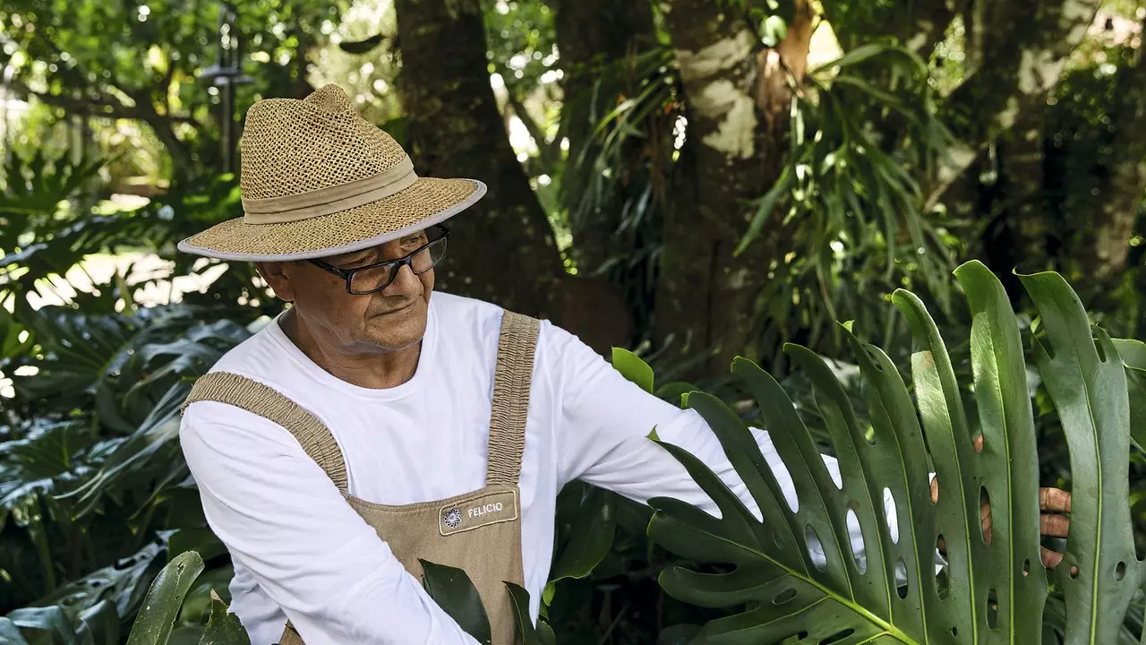 Vive in hotel: Felicio Ribeiro da Silva, il giardino è la sua cosa