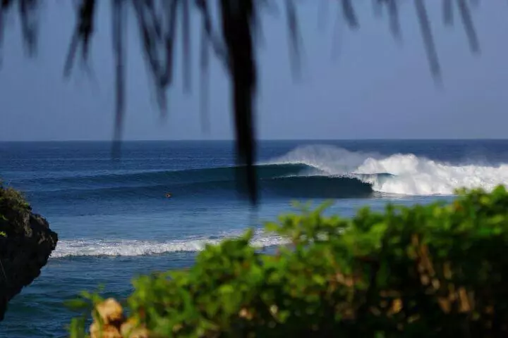 roti surfing