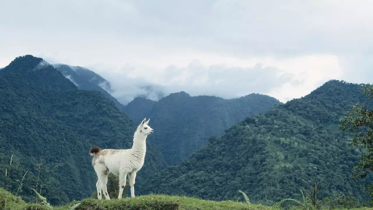 Equador, el secret més ben guardat de Sud-amèrica?