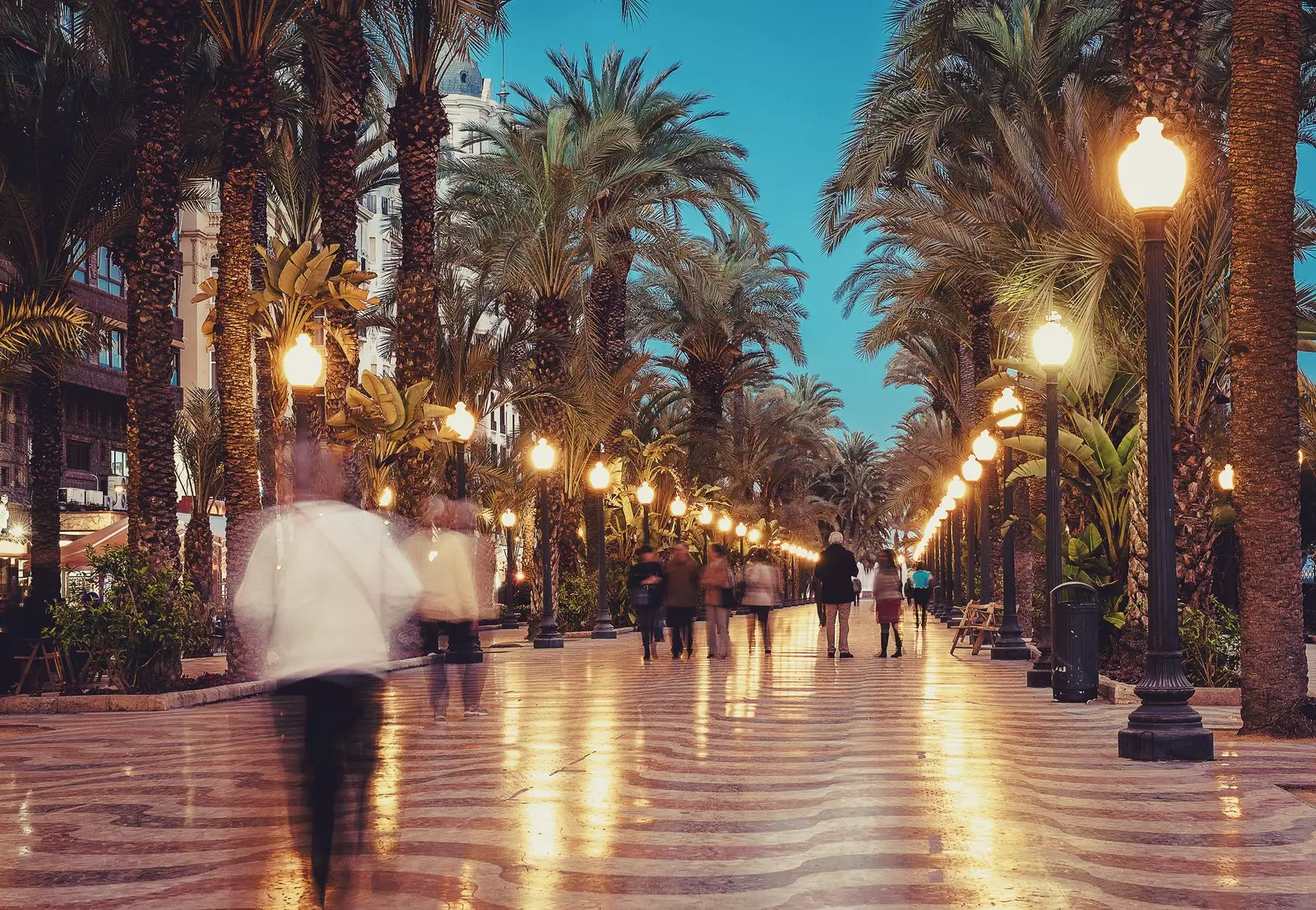 Evening photograph of the Esplanade of Alicante with the streetlights on and a multitude of people walking.