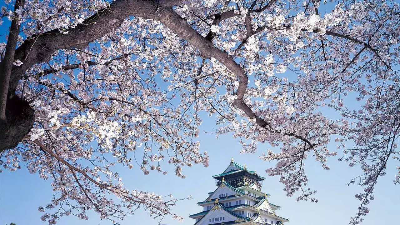 Nove motivi per visitare Osaka