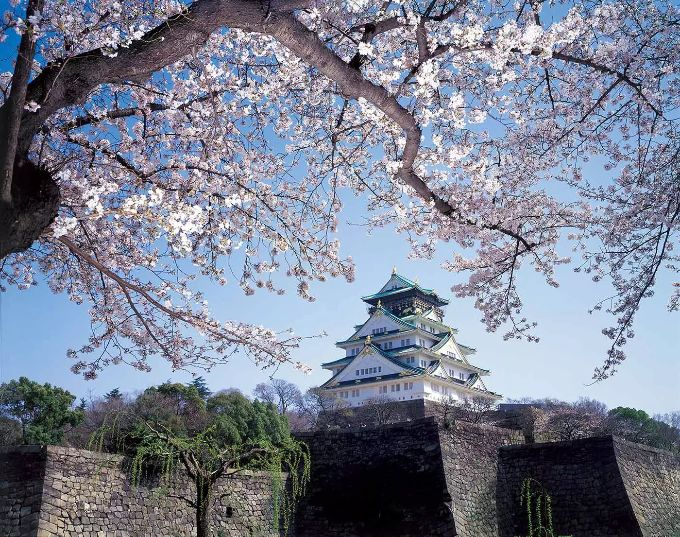 Osaka güzel Japon cazibesi