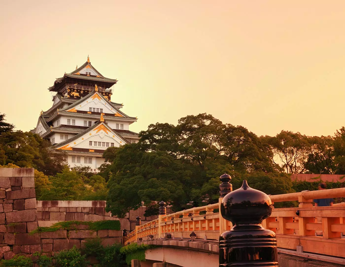 Meraviglia del parco del castello di Osaka