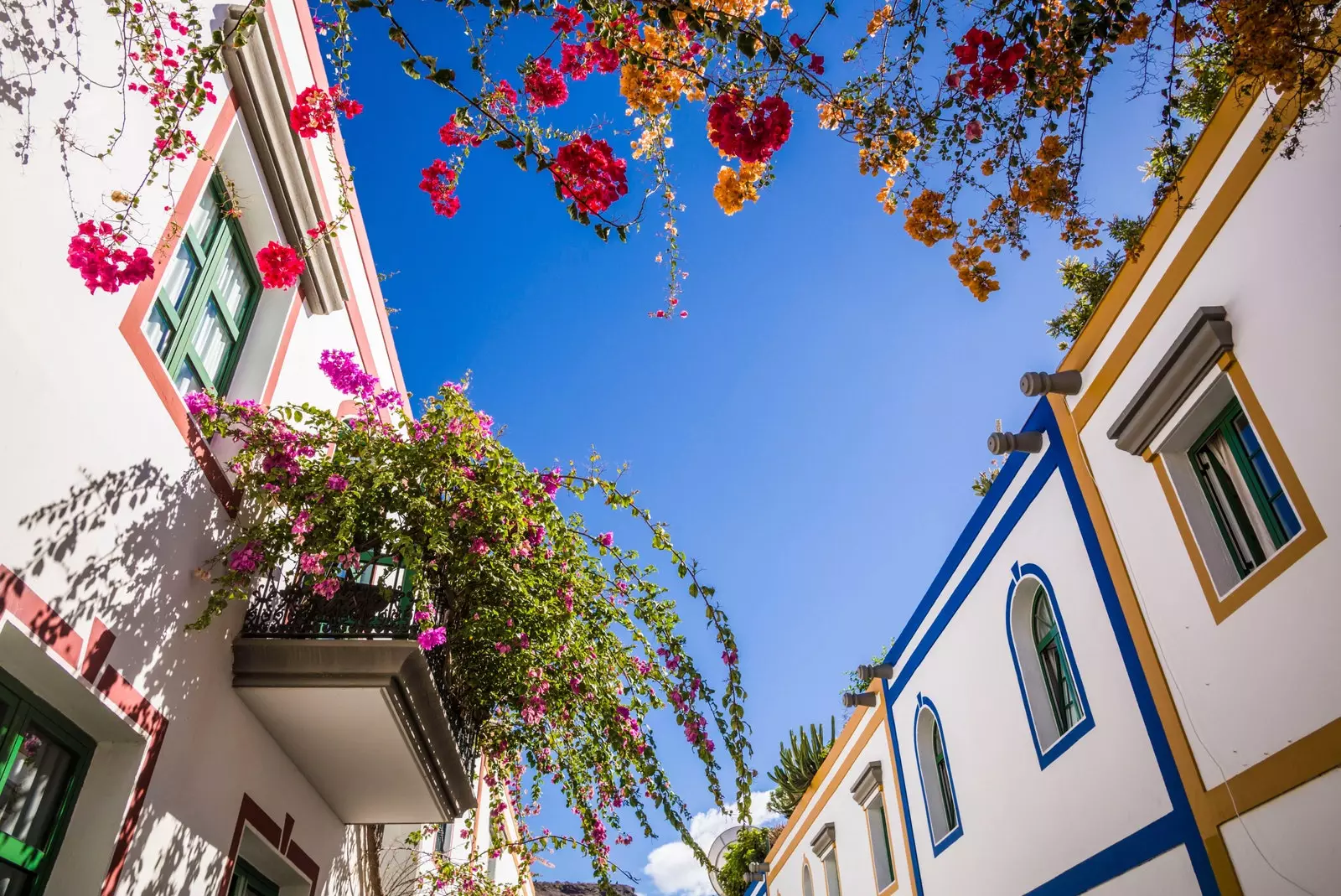 Bougainvillea ir kitos gėlės Puerto de Mogn Gran Kanarijoje