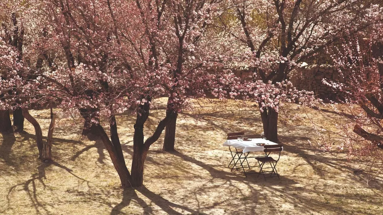 Najbolji hotelski doručci: Shakti Stok Amid Blooming Breach Trees