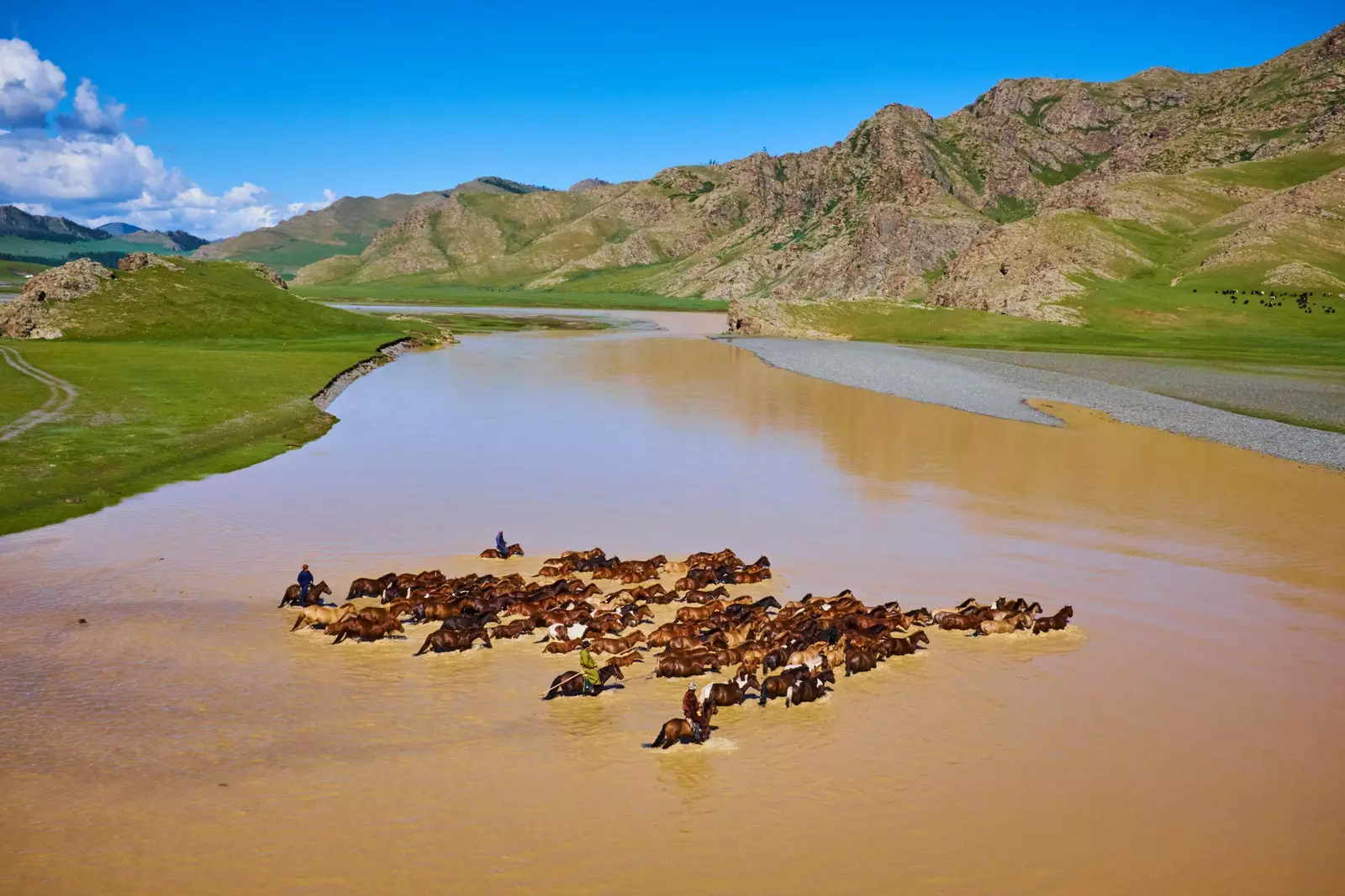 Mongoļu jātnieks, kas šķērso Orhonas upi ar savu zirgu ganāmpulku.