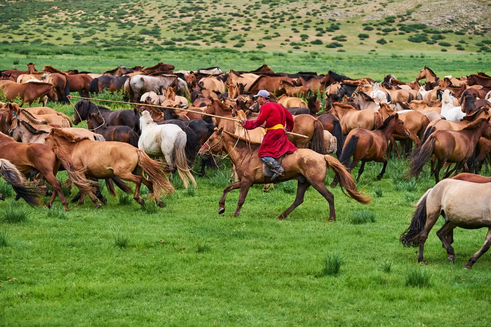 Menunggang kuda adalah kegiatan utama para pengembara Mongolia.