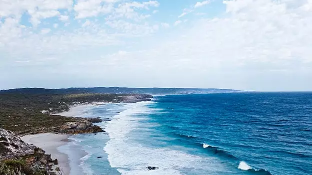 Australia: vrăjitorii din Oz sau gastronomia aborigenă