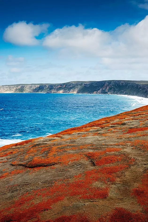 Flinders Chase Hifadhi ya Kitaifa ya Australia