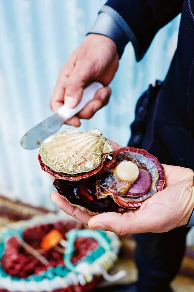 Austràlia un país culinari