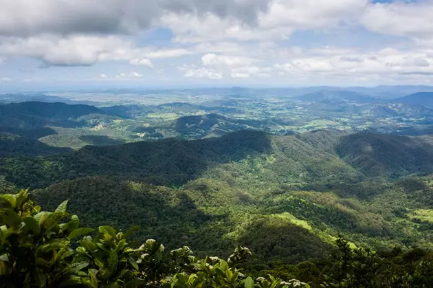 Páirc Náisiúnta Springbrook