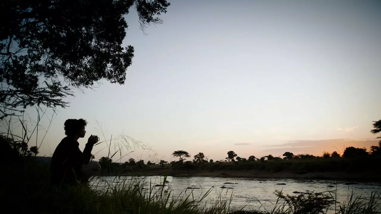 Zažite Keňu a Tanzániu na zodpovednom safari Alexa Walkera