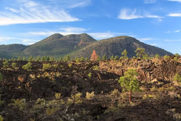 Dormant Flagstaff Volcanoes