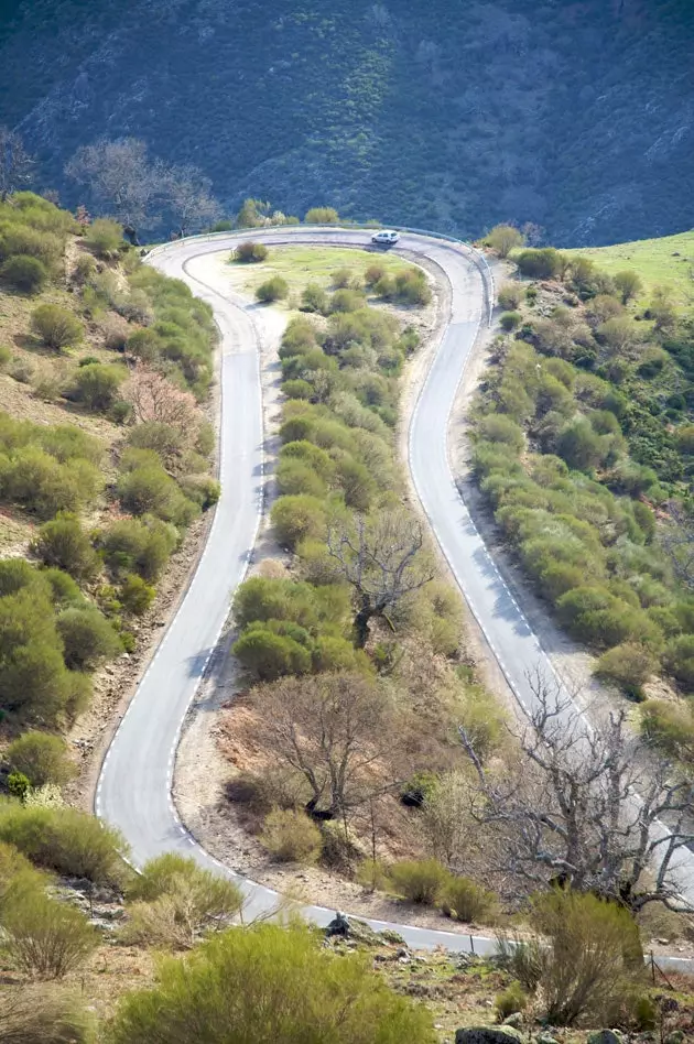 Le curve della valle del Jerte ei ciliegi