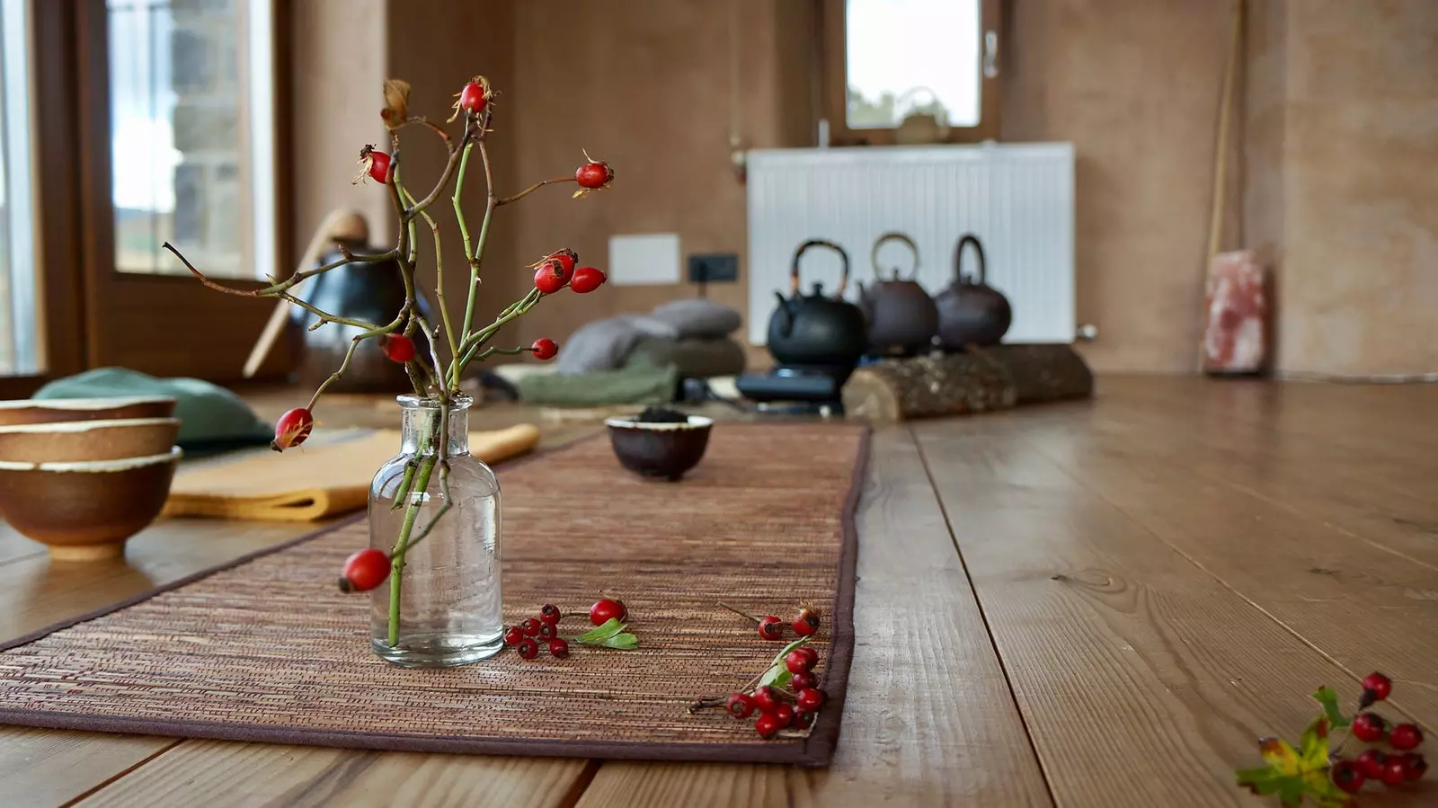 Casa Cuadrau Pyrenees aragons irtir yoga