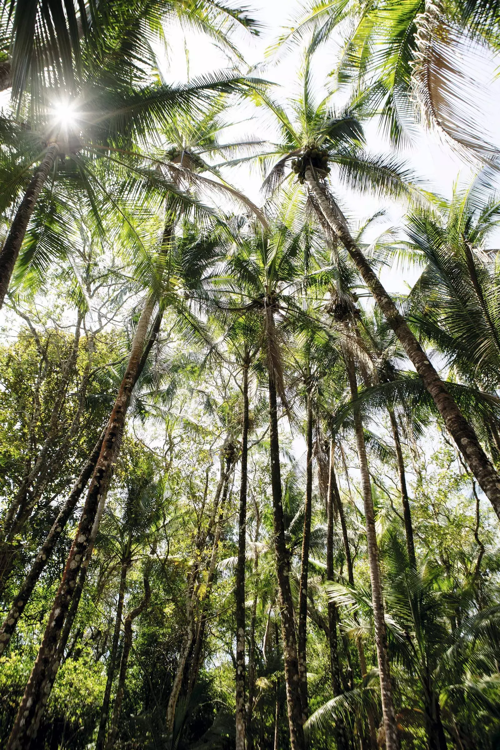 Chiriquí quên tất cả những gì bạn nghĩ rằng bạn biết về Panama