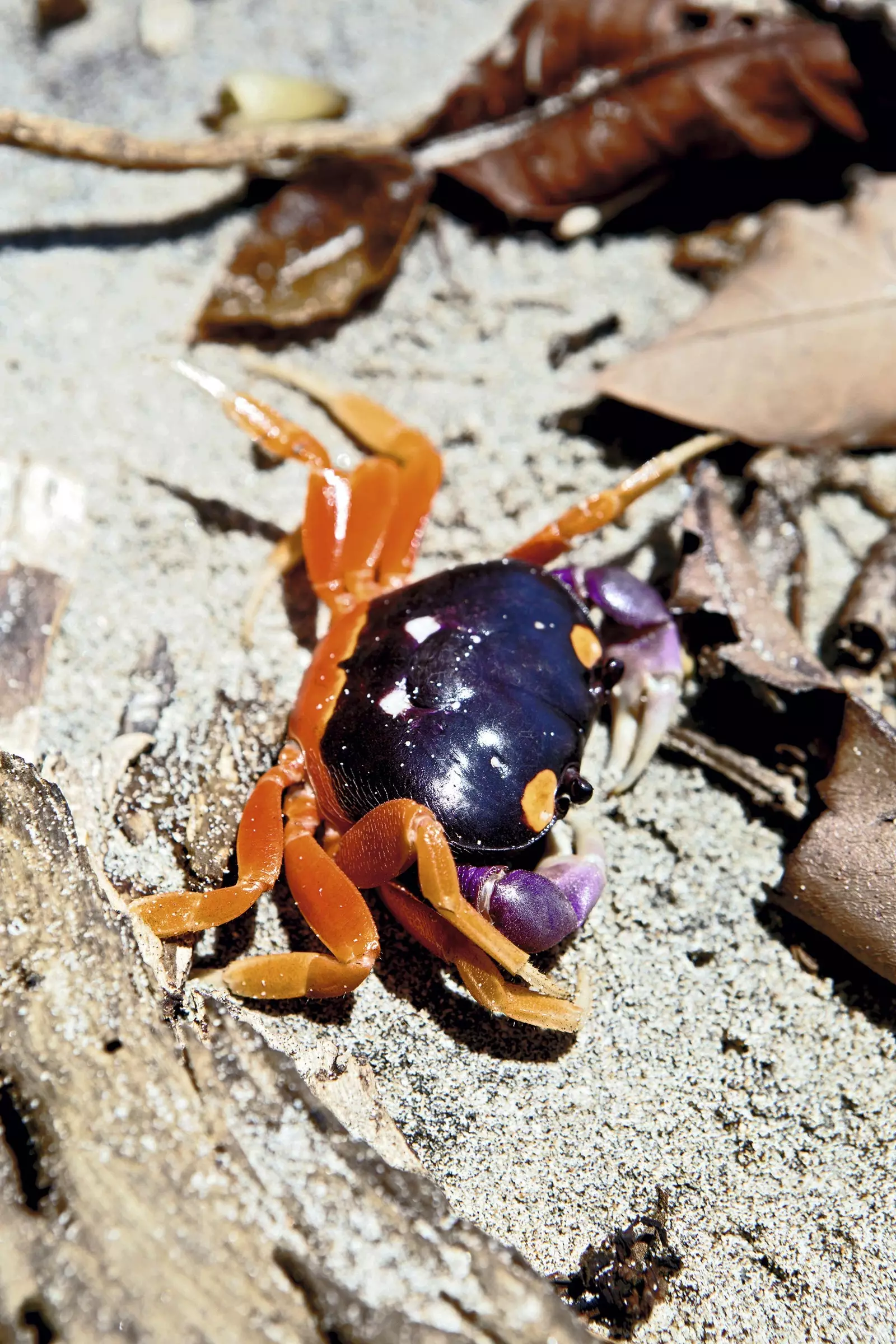 Chiriquí zapomeňte na všechno, co si myslíte, že víte o Panamě