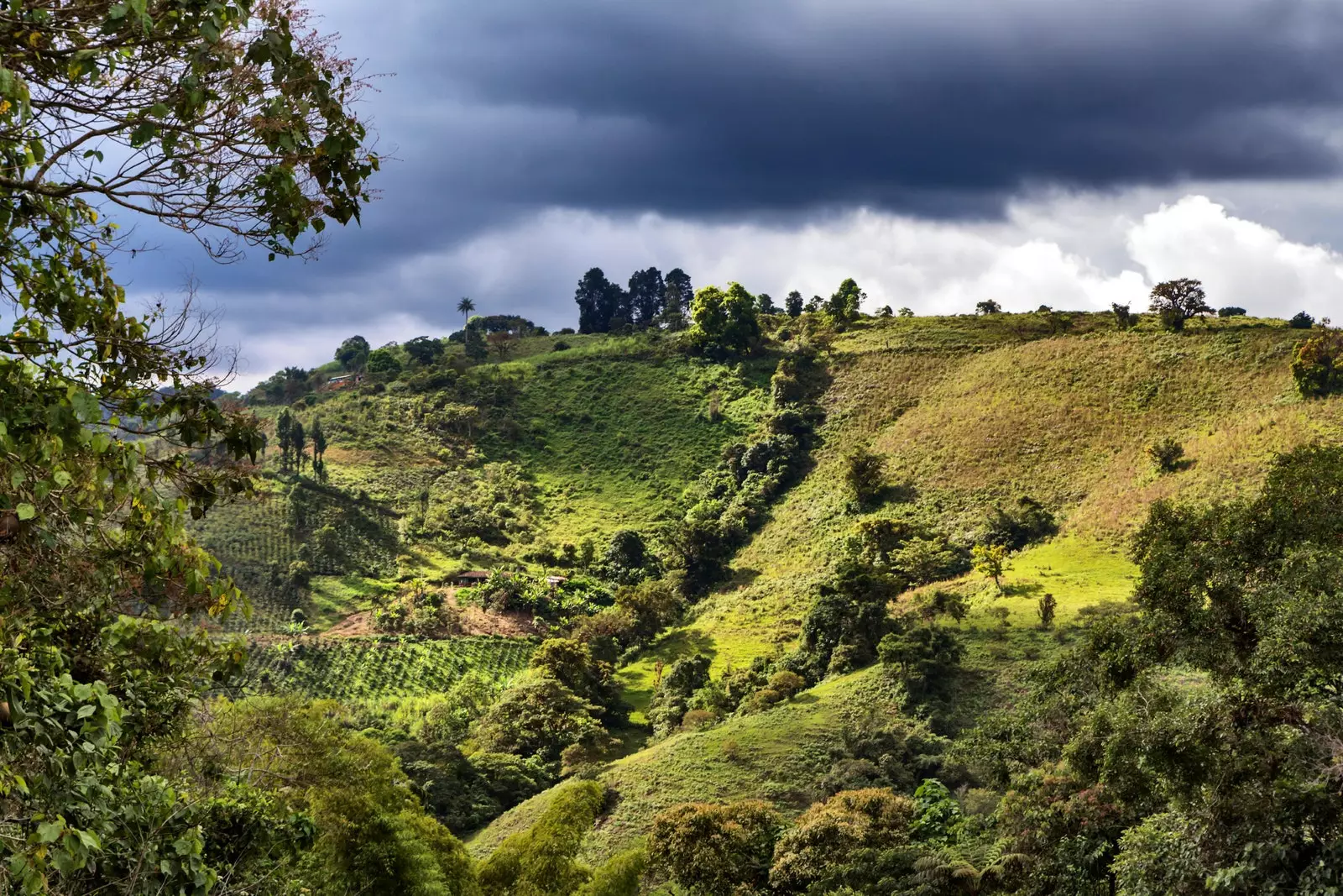 Alto de las Piedras régészeti lelőhely.