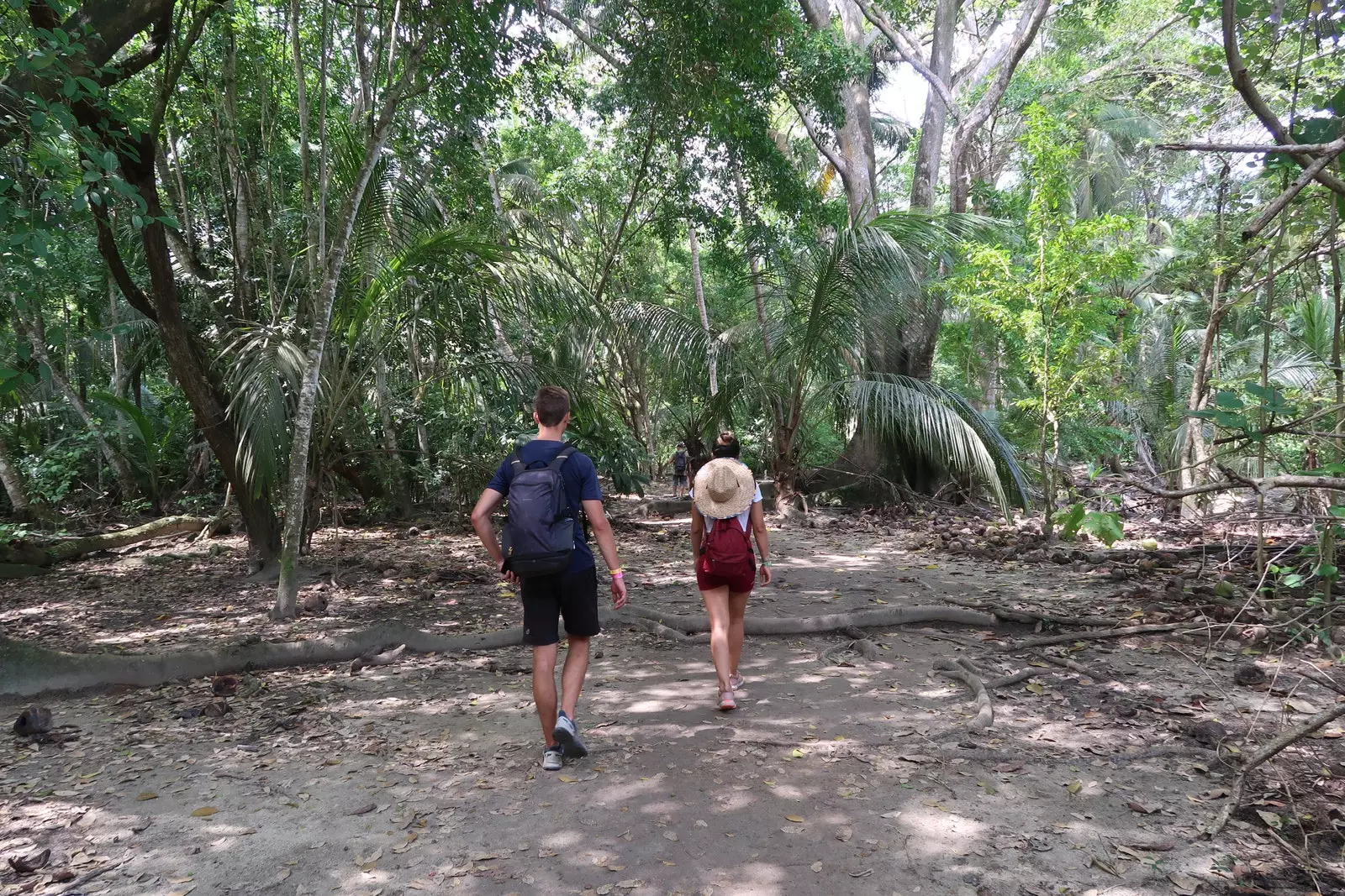 Jeg går gjennom Tayrona naturpark.