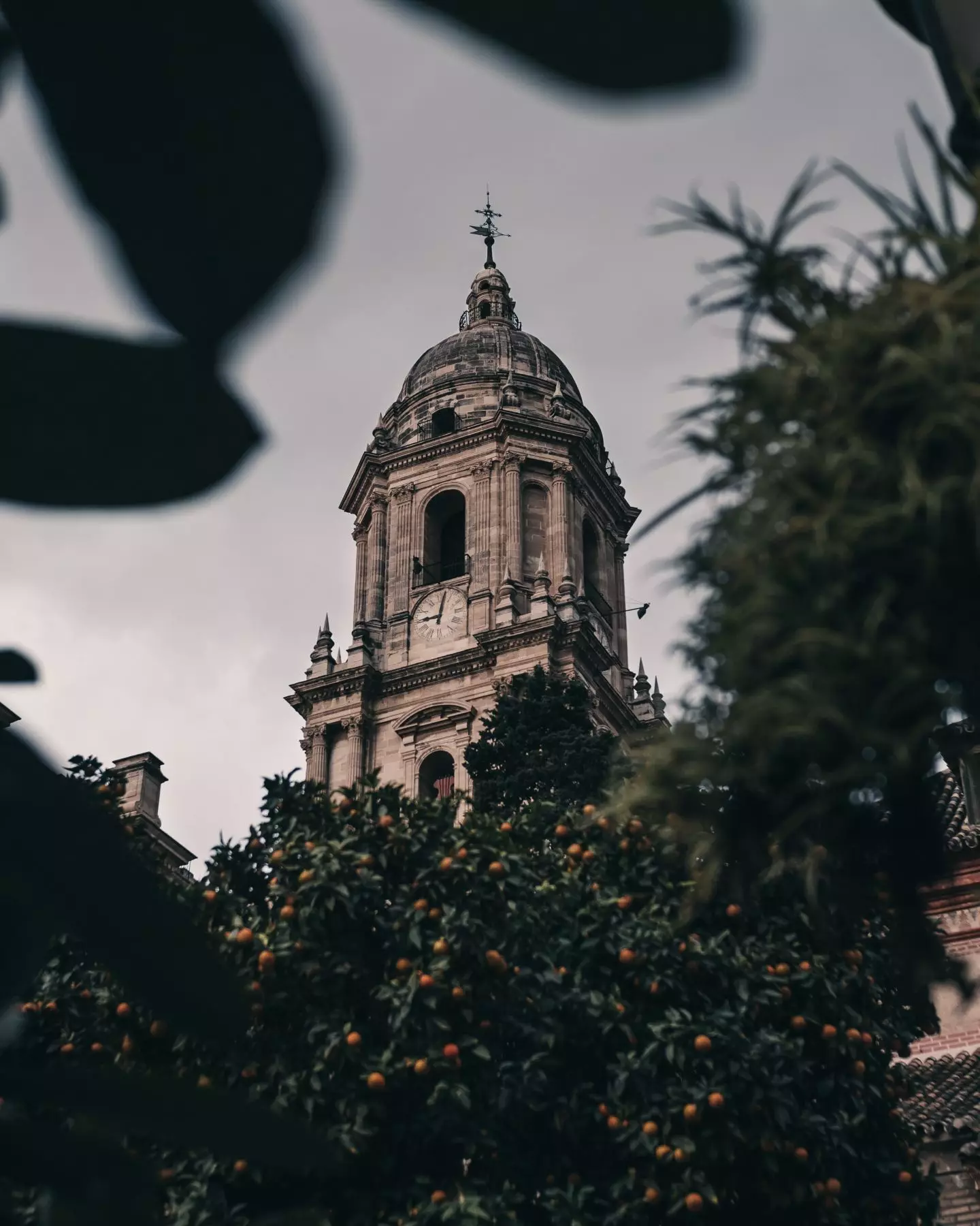 Toren van de kathedraal van Malaga gezien tussen de vegetatie.