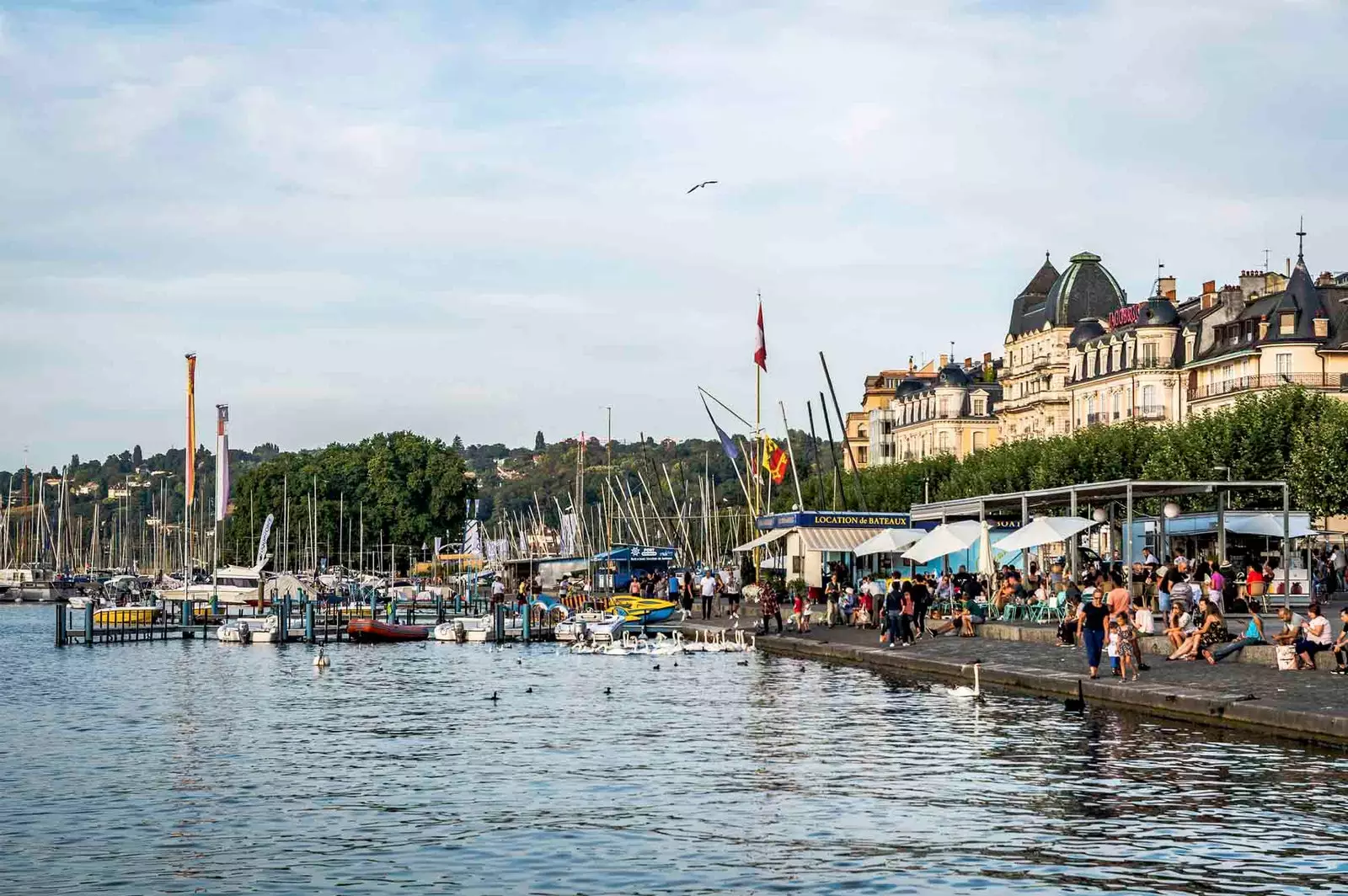 lake geneva shore