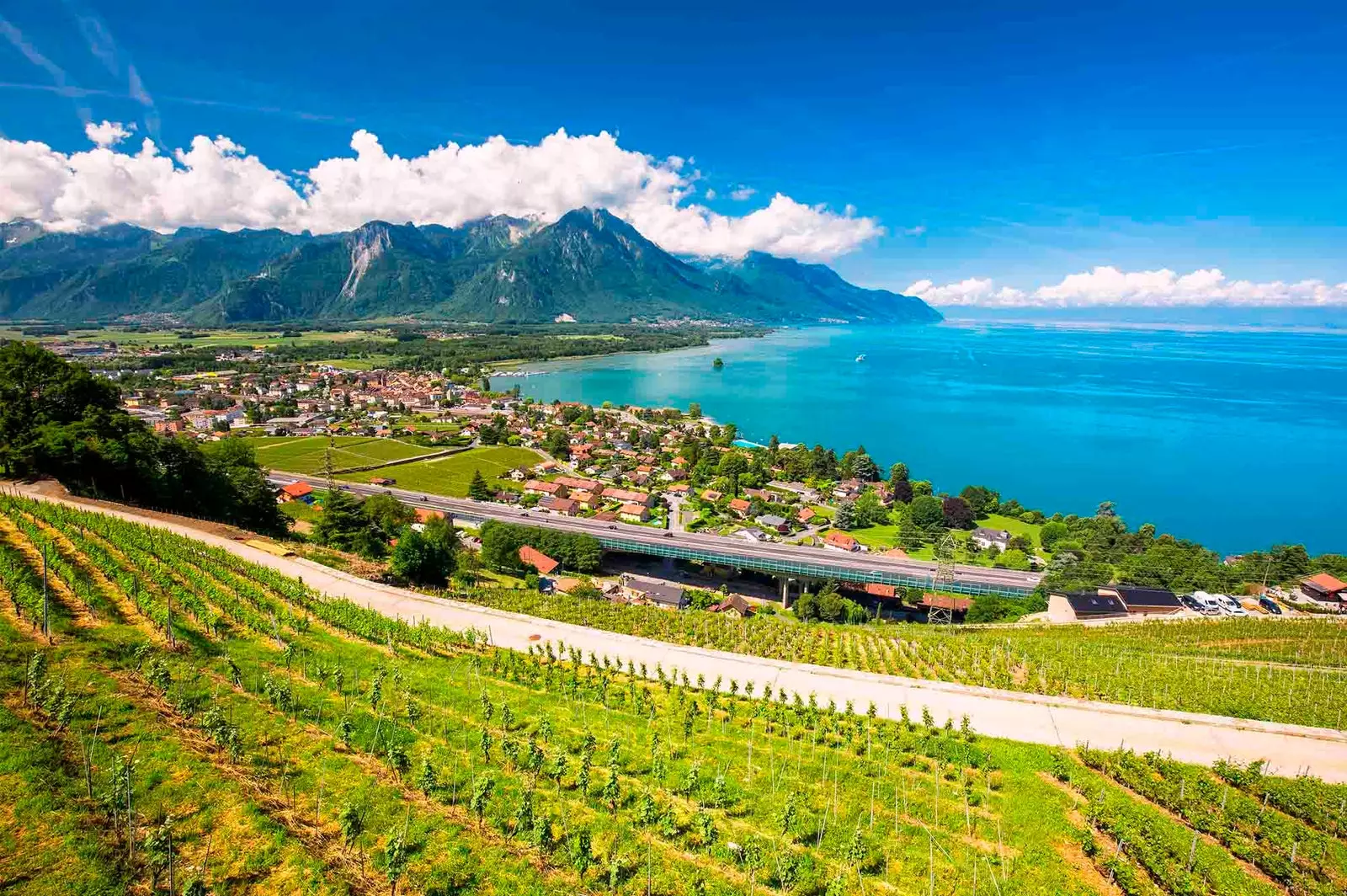 vineyards lake and mountains in Vevey