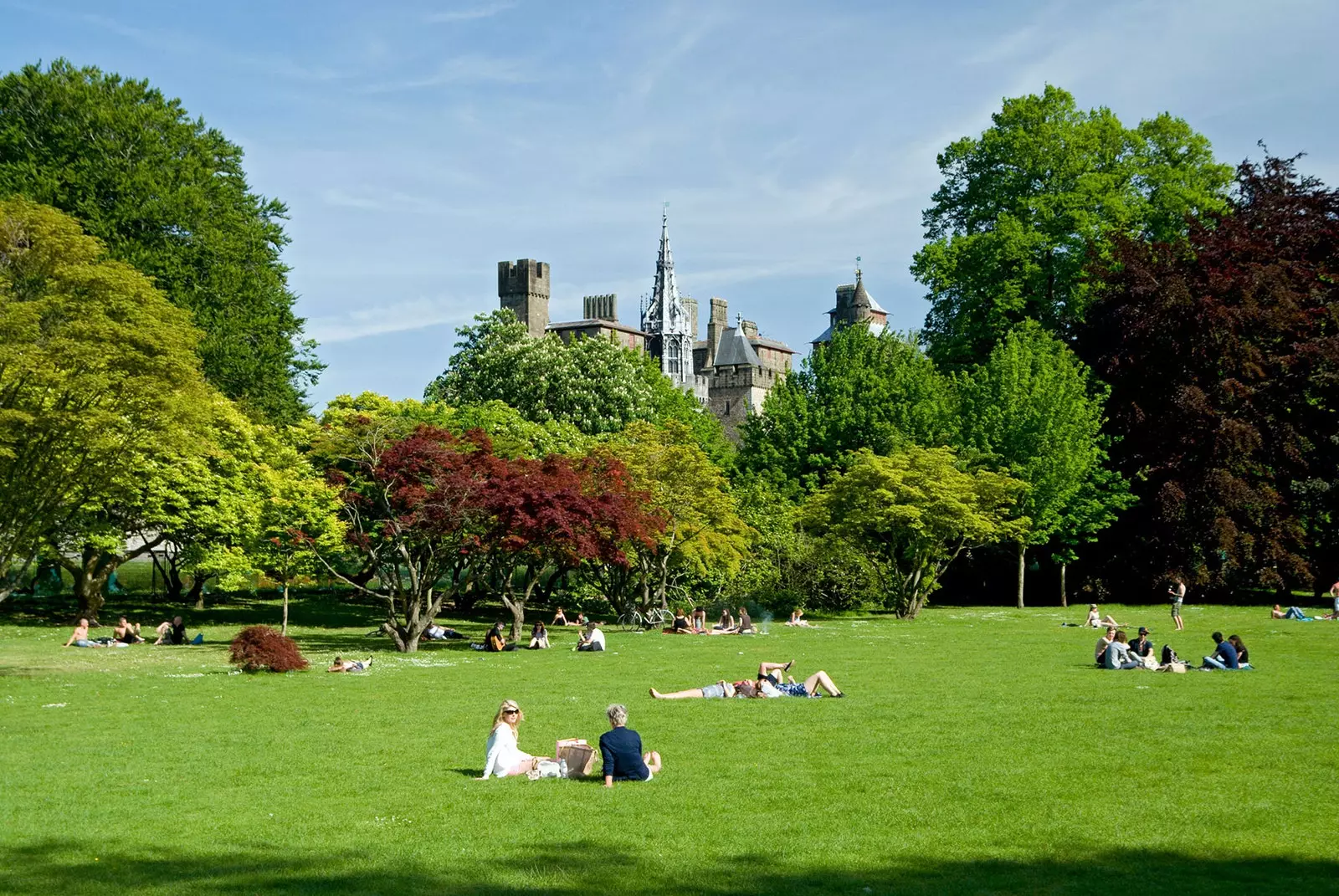 bute park