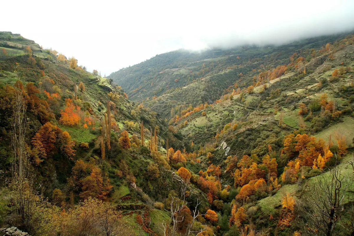 Burrone di Poqueira