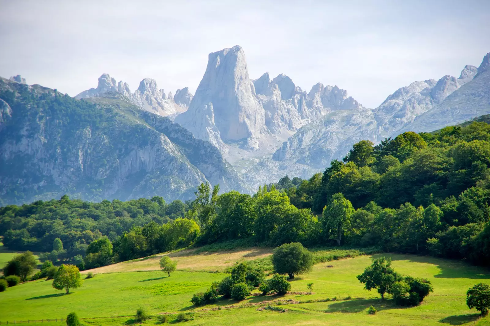 نارانجو دي بولنز في Picos de Europa.