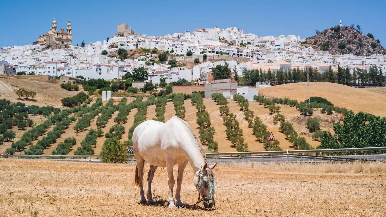 Olvera este noua Capitală a Turismului Rural 2021