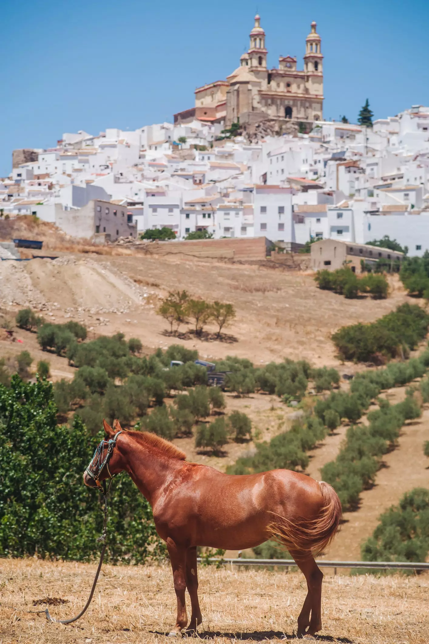 Olvera Capitale del Turismo Rurale