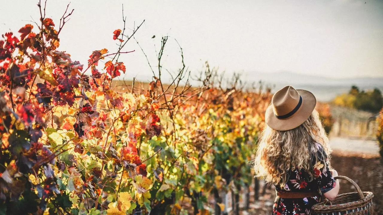 La Rioja Alta, uzumzorlar orasida sizga kerak bo'lgan romantik qochish